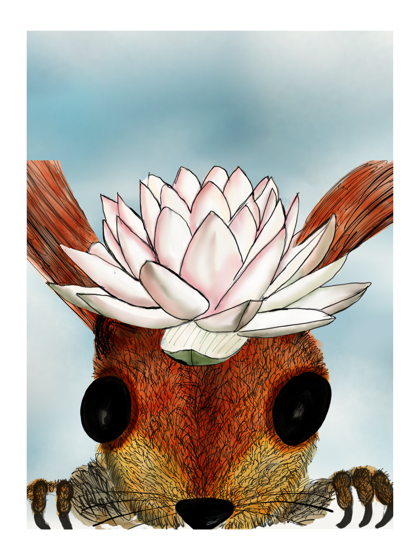 Lil Squirrel - available in 3 Languages